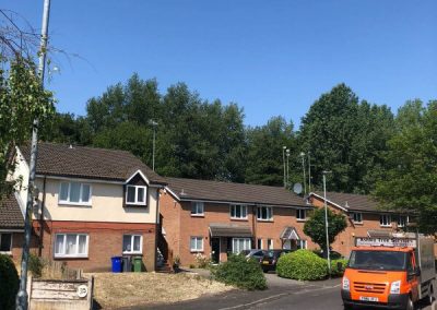Sycamore tree removal Ashton-under-Lyne 10