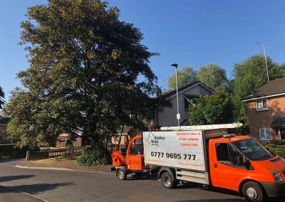 Sycamore tree removal Ashton-under-Lyne 2
