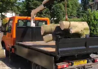 Sycamore tree removal Ashton-under-Lyne 6