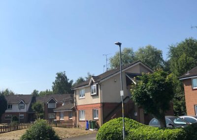 Sycamore tree removal Ashton-under-Lyne 9