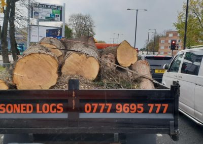Tree felling Manchester – 06.11.2018. – Jehova’s Witnesses Kingdom Hall