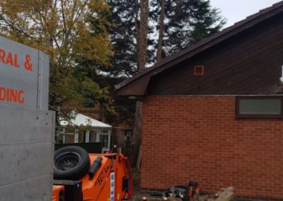 Tree felling Manchester Jehovas Witnesses Kingdom Hall 4