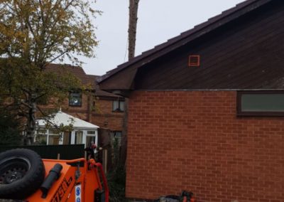 Tree felling Manchester Jehovas Witnesses Kingdom Hall 5