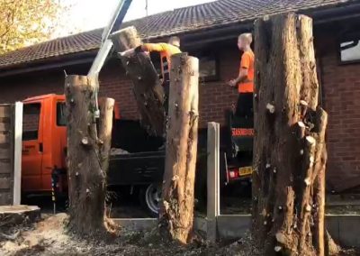 Tree felling Manchester Jehovas Witnesses Kingdom Hall 7