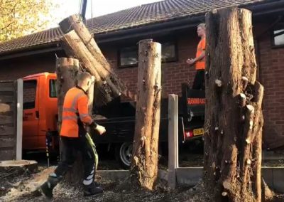 Tree felling Manchester Jehovas Witnesses Kingdom Hall 8