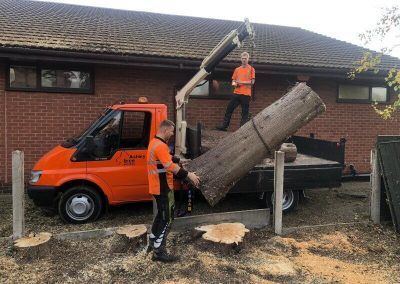 Tree felling Manchester Jehovas Witnesses Kingdom Hall 9